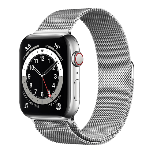 Apple Watch Series 6 4G i Rostfritt Stål med Milanese Loop